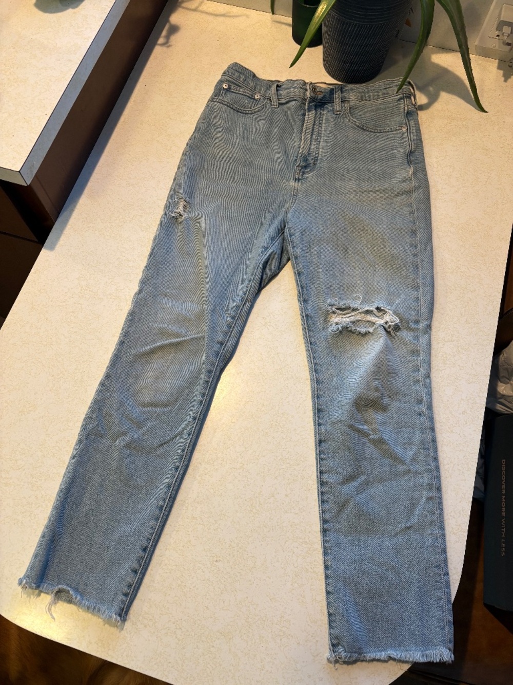 Madewell Perfect Vintage Jean